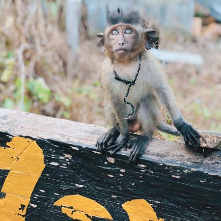 Monkey Bungalow Ko Lanta Exteriér fotografie