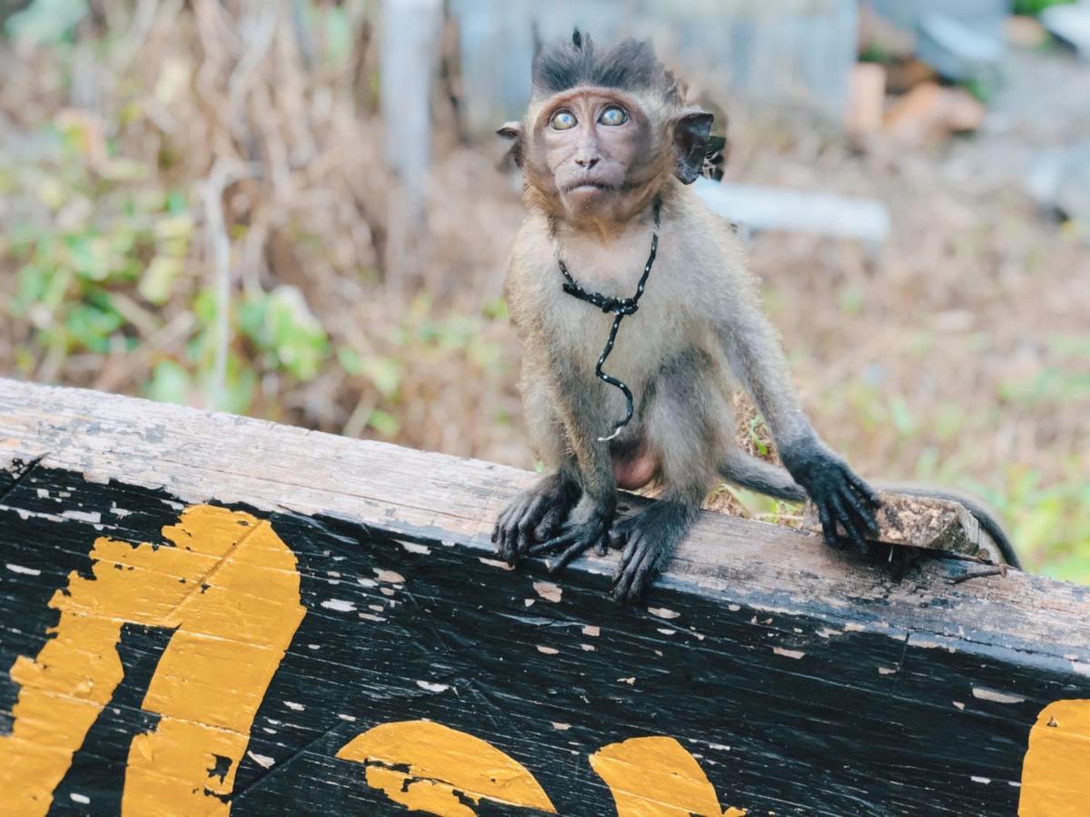 Monkey Bungalow Ko Lanta Exteriér fotografie