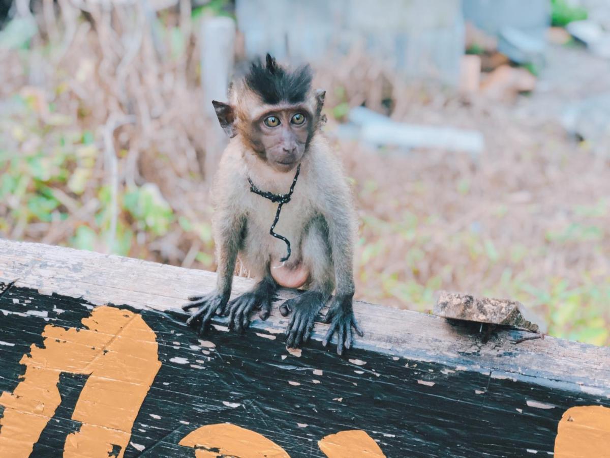 Monkey Bungalow Ko Lanta Exteriér fotografie